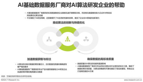 2024年中國AI基礎(chǔ)數(shù)據(jù)服務(wù)研究報告 互聯(lián)網(wǎng)安全服務(wù)